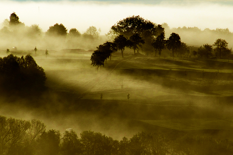 Morgennebel