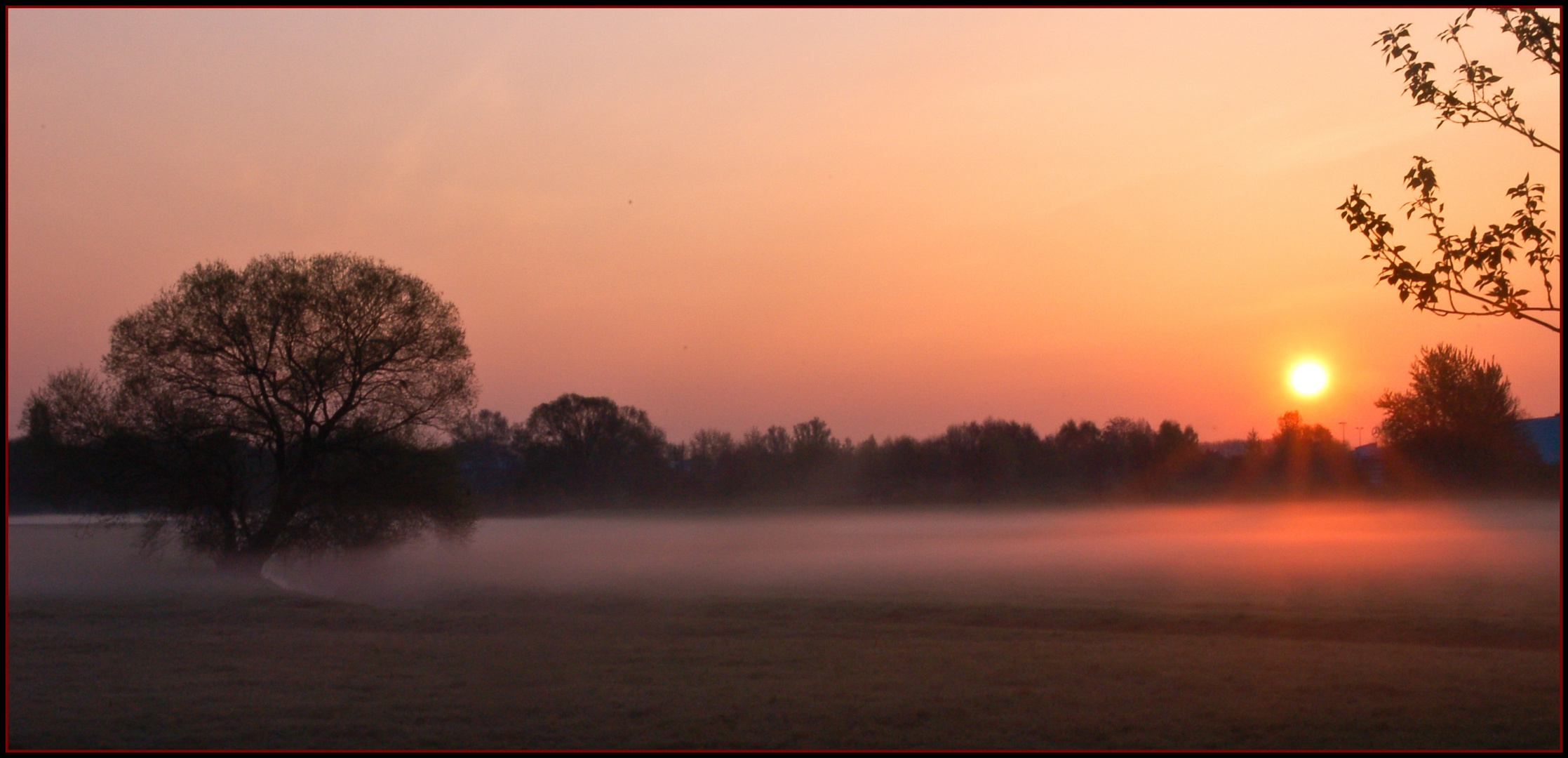 "Morgennebel"