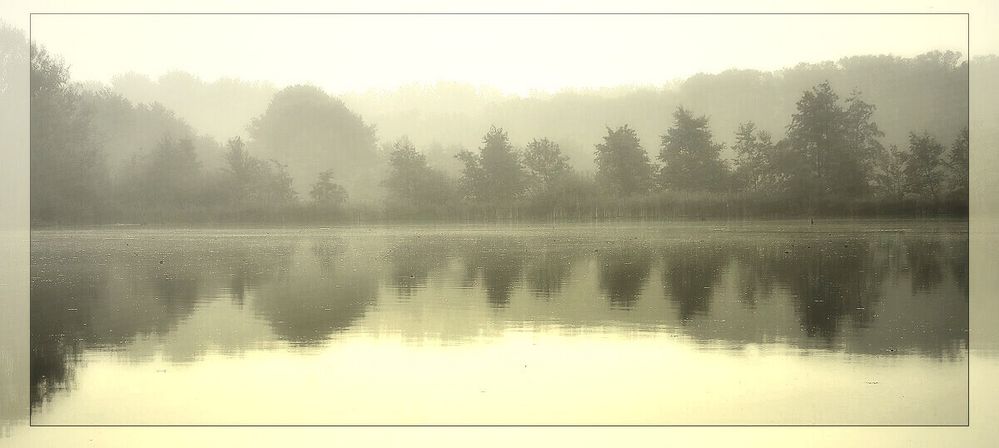 Morgennebel