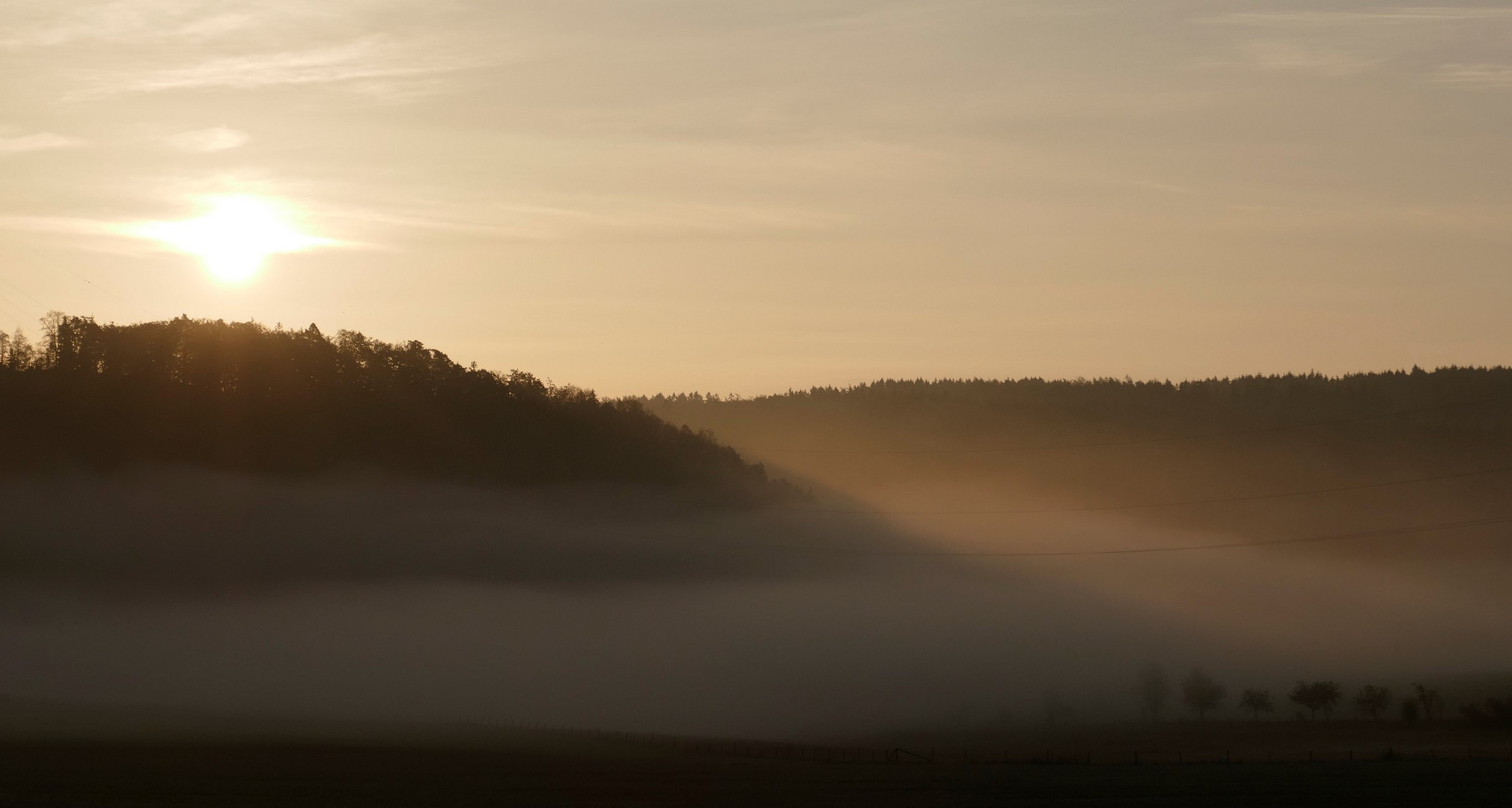 Morgennebel