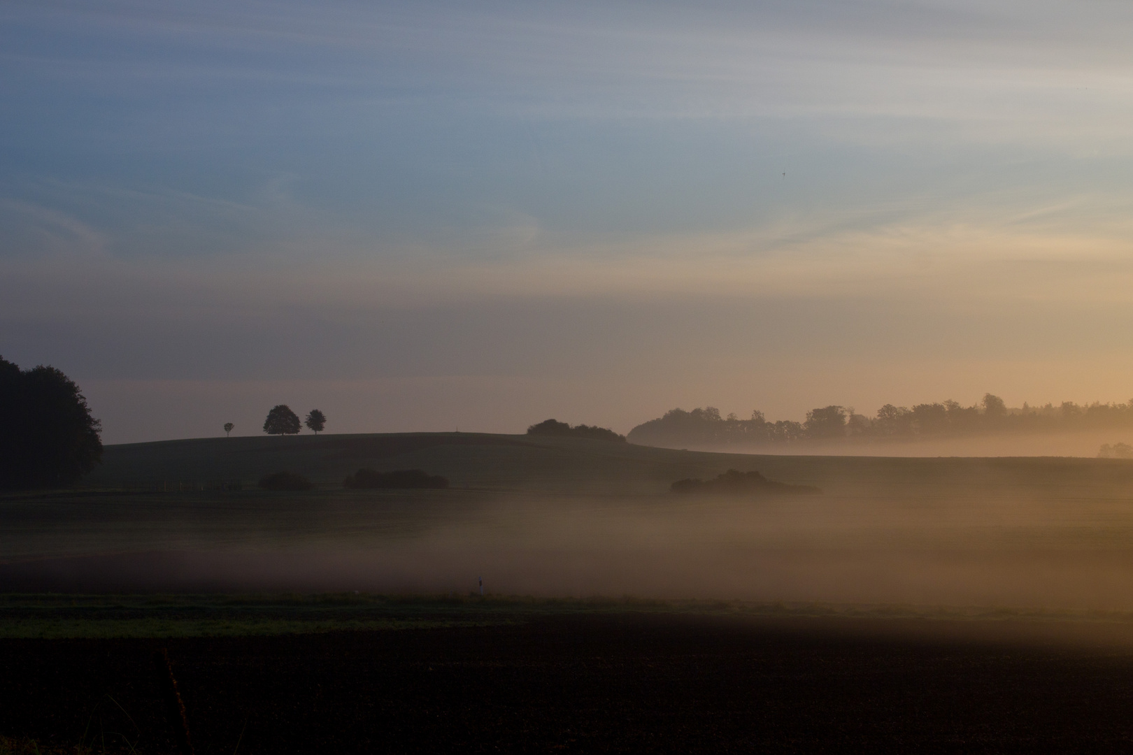 Morgennebel