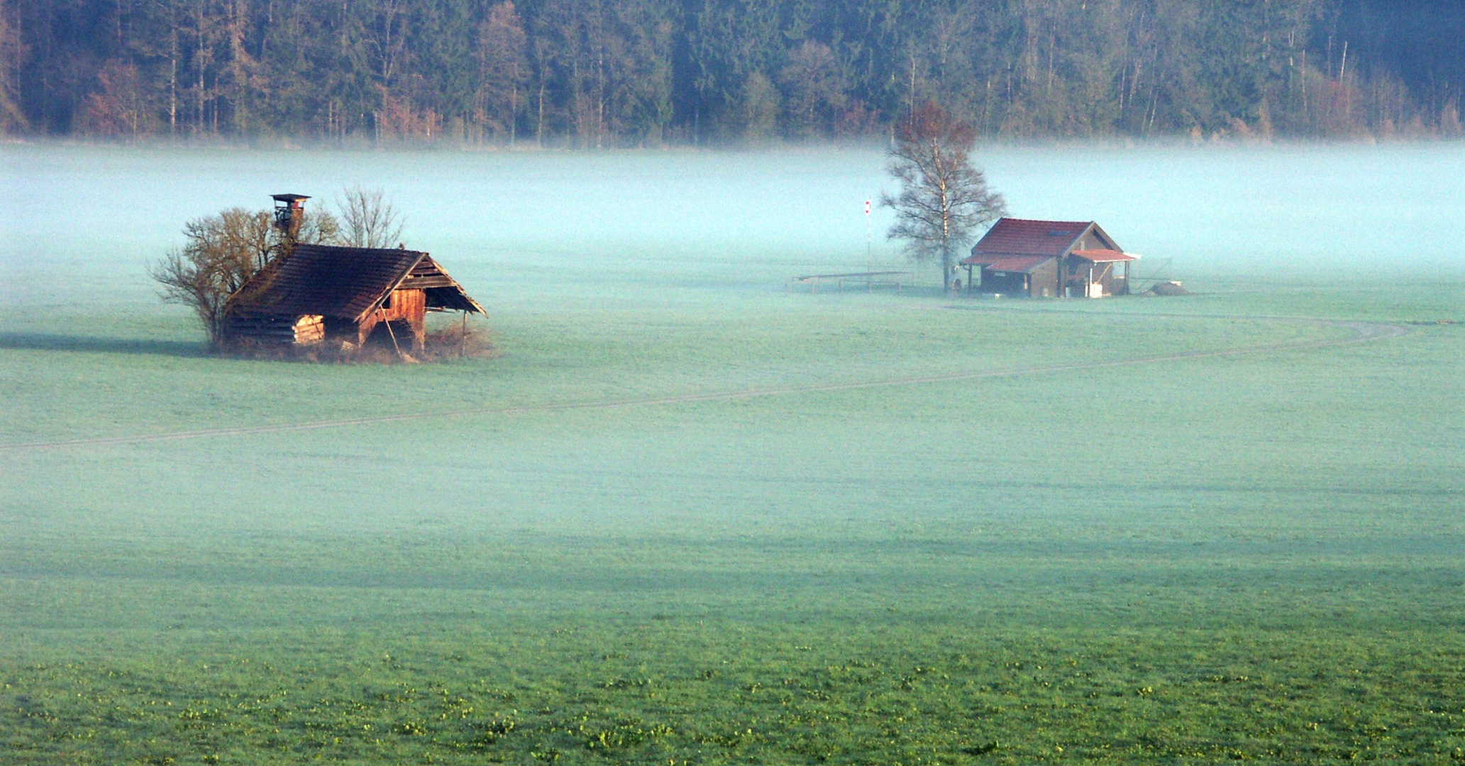 Morgennebel