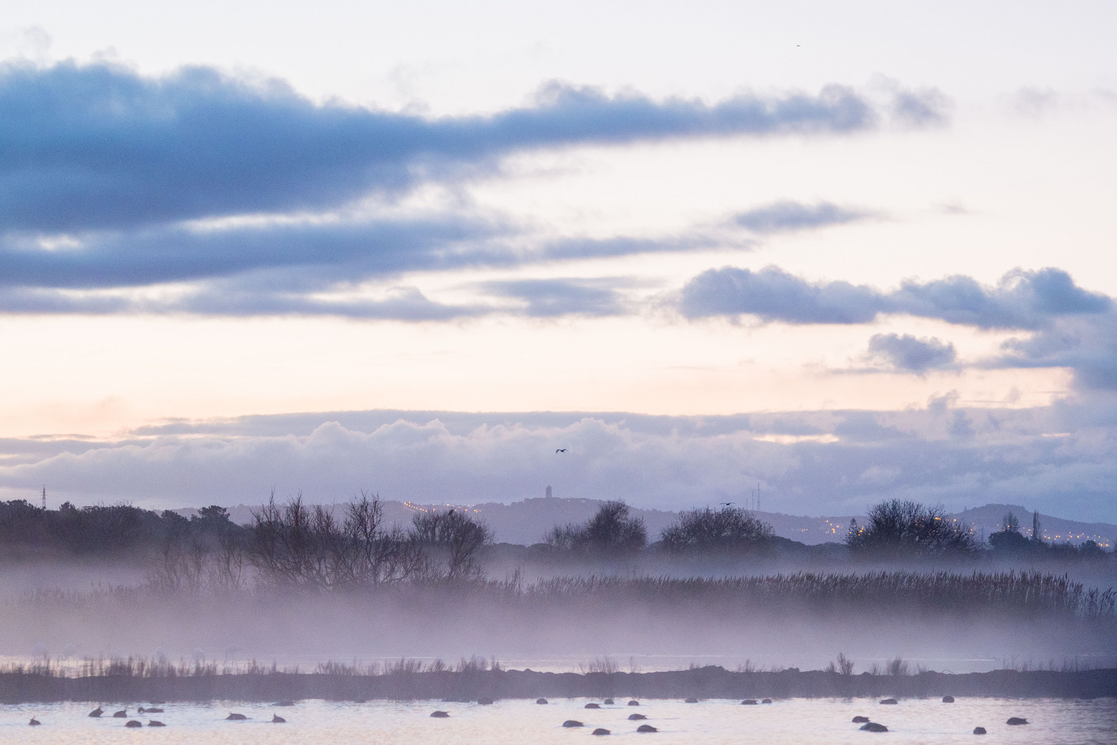 Morgennebel