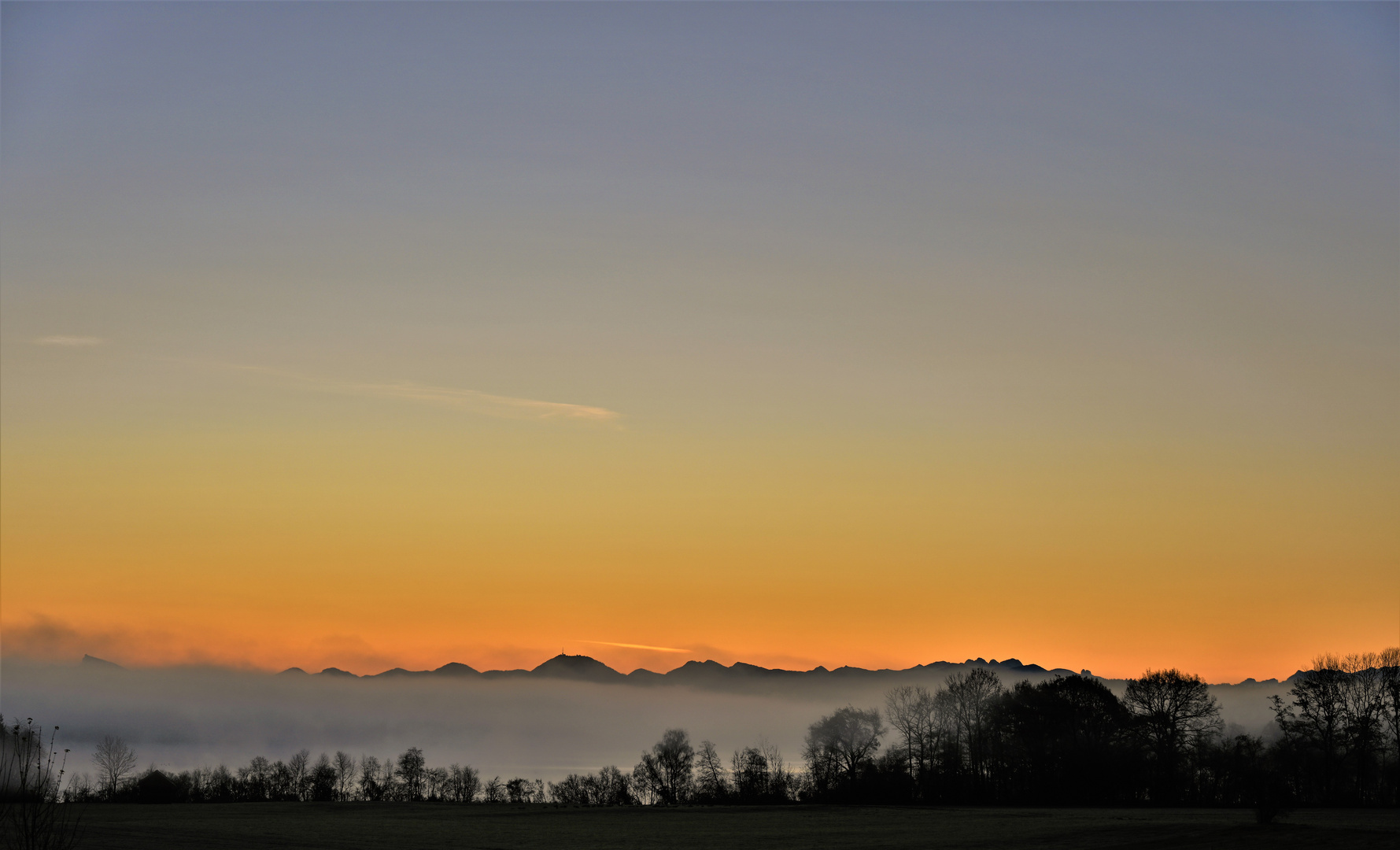 Morgennebel