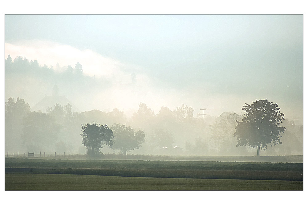 Morgennebel von Wilfried Hintze