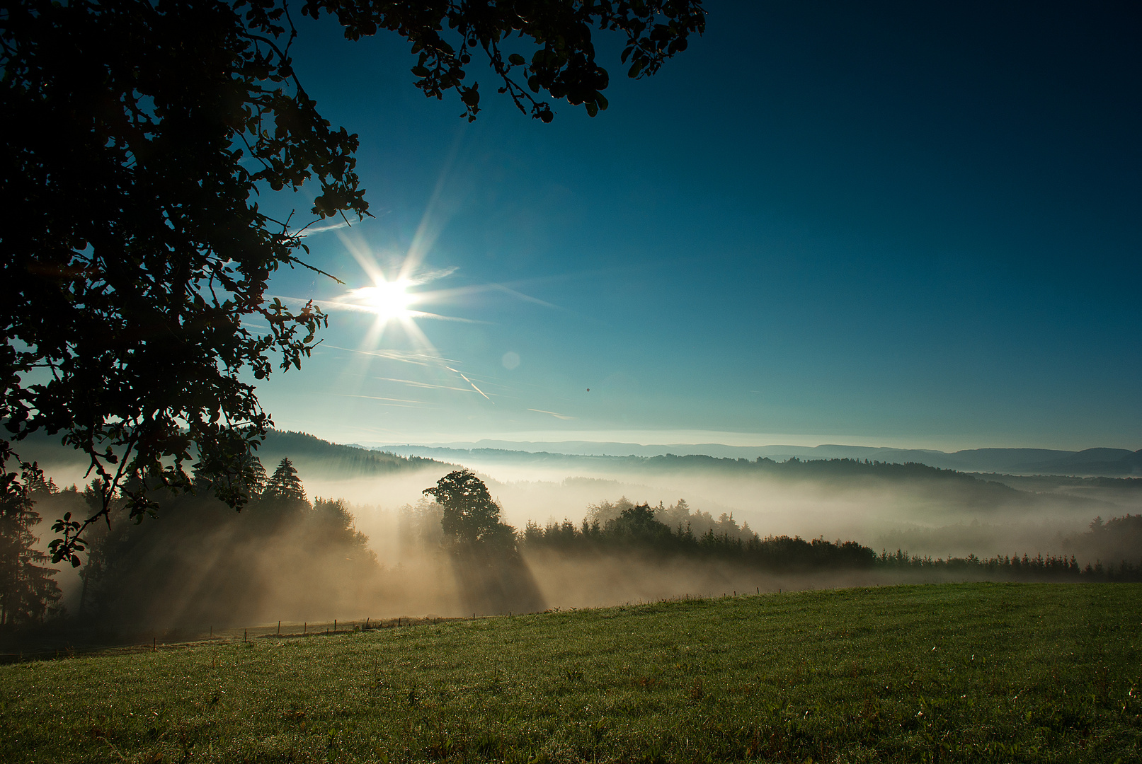 Morgennebel