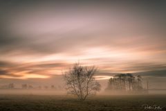 Morgennebel