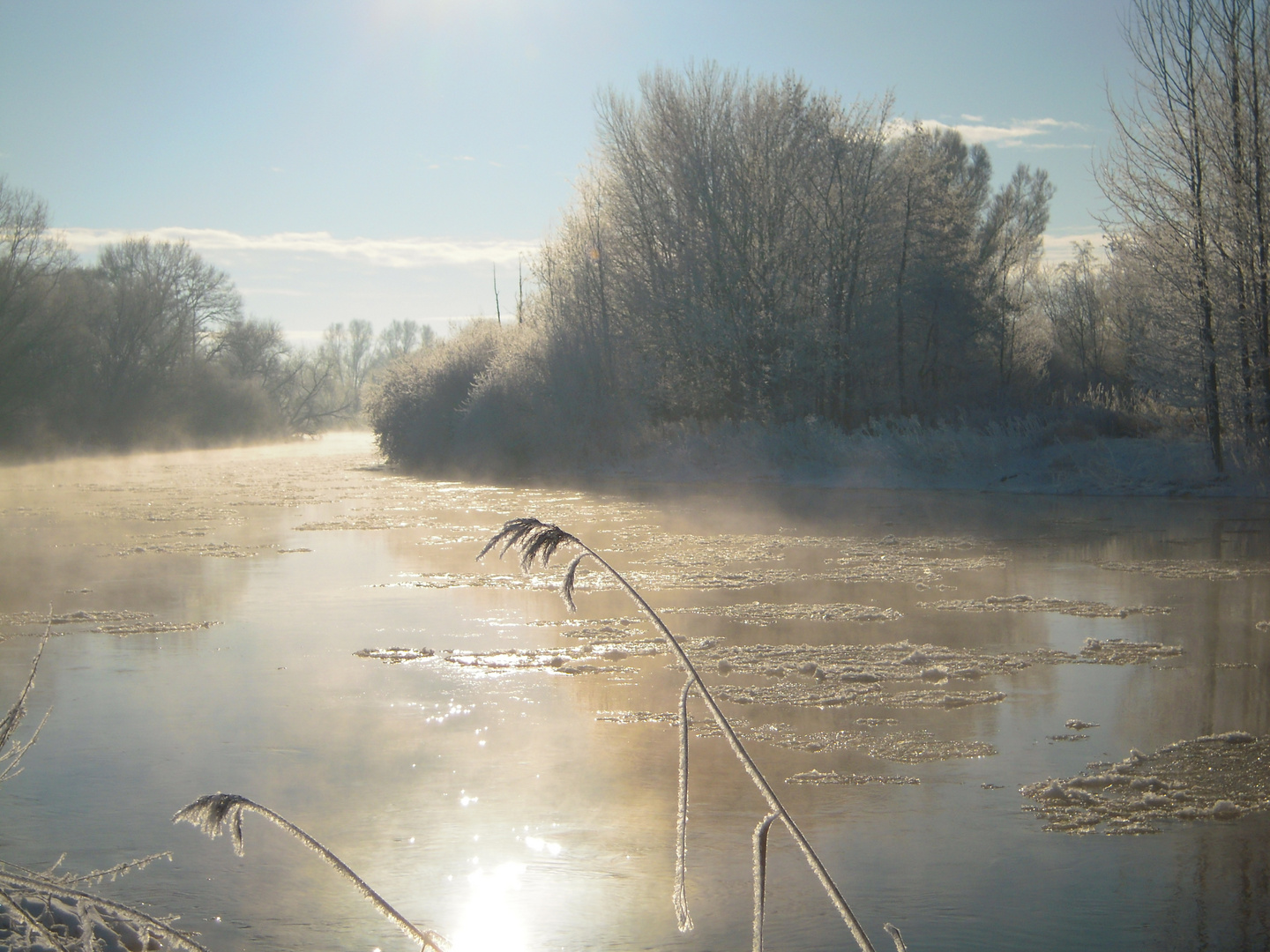 Morgennebel