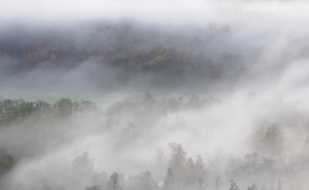 Morgennebel