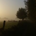 Morgennebel