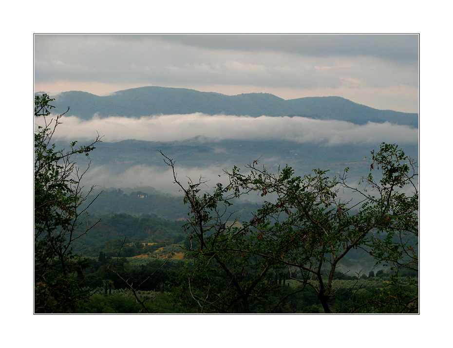 Morgennebel