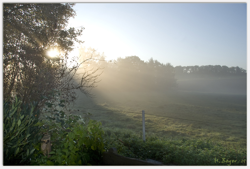 Morgennebel