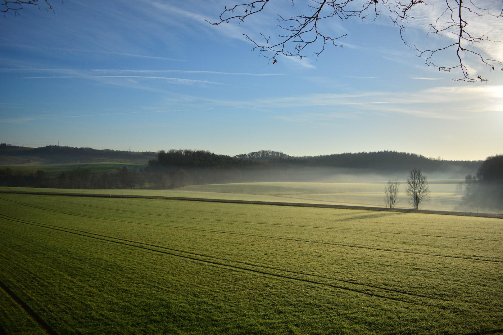 Morgennebel