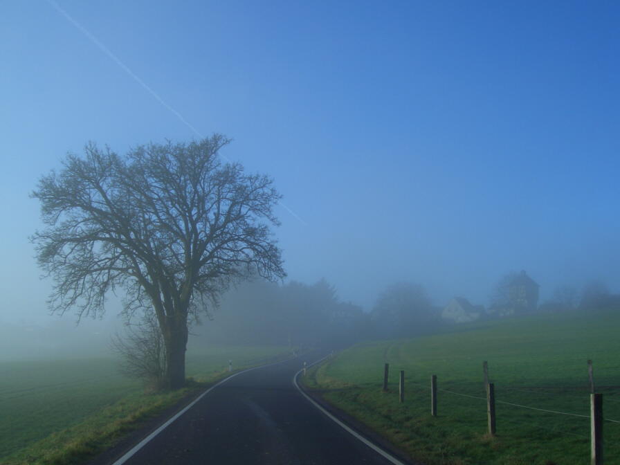 Morgennebel