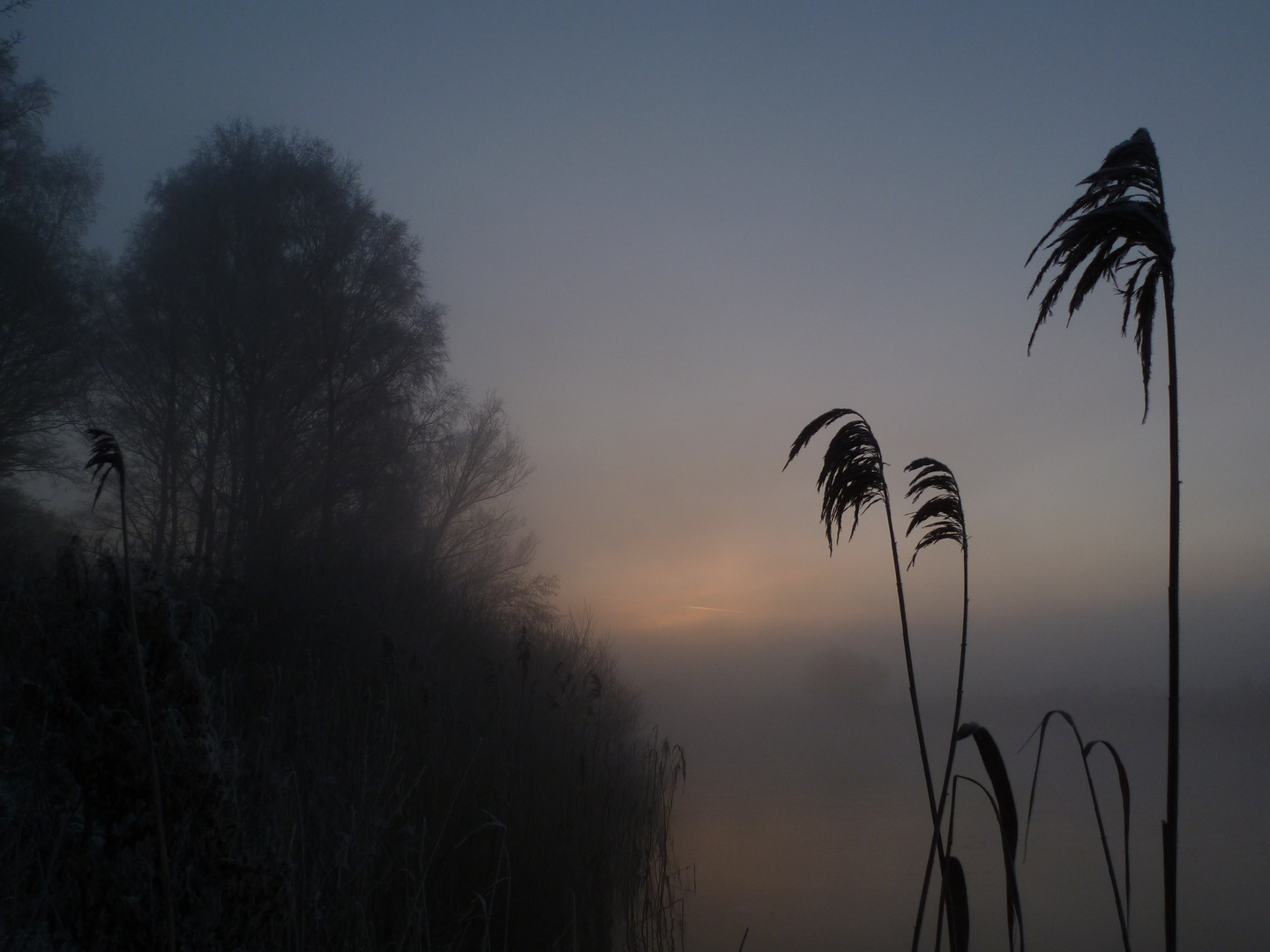 Morgennebel