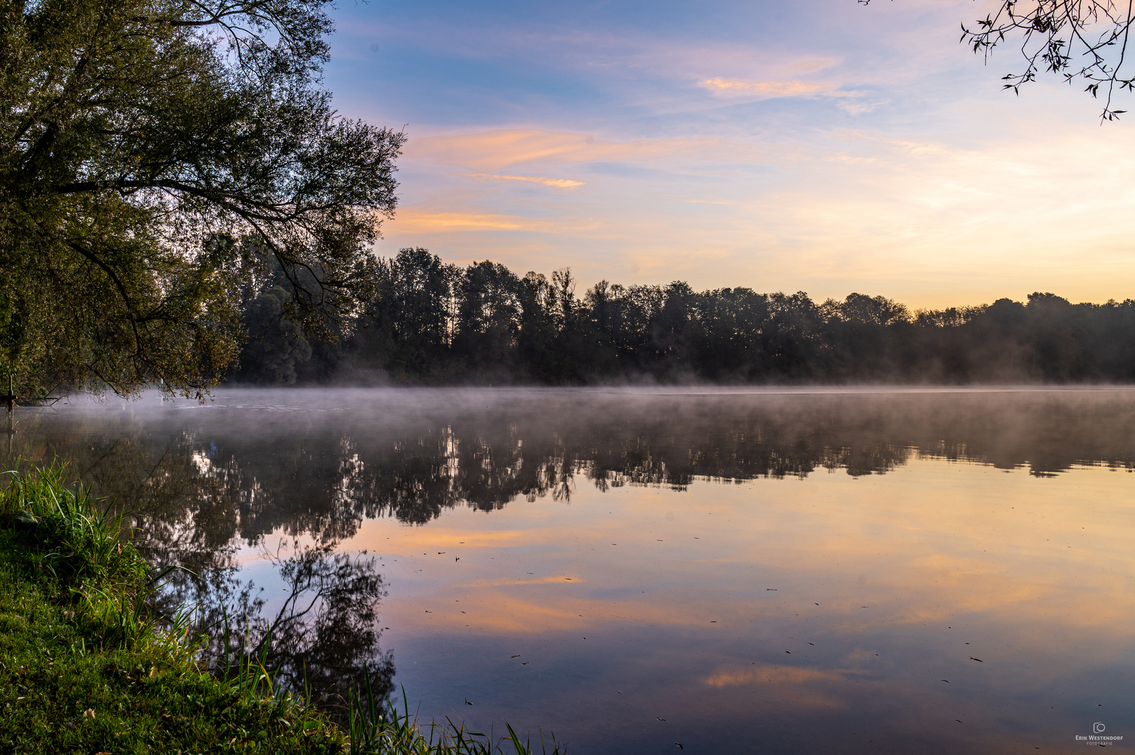 Morgennebel