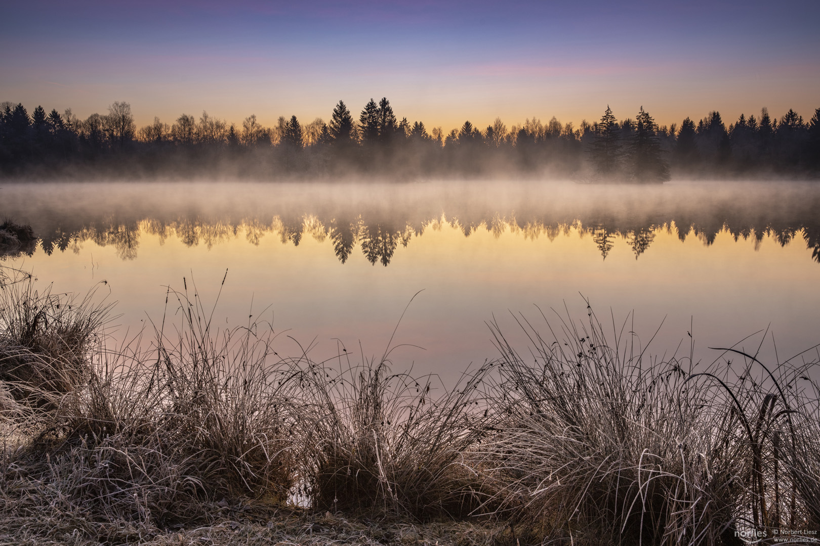 Morgennebel