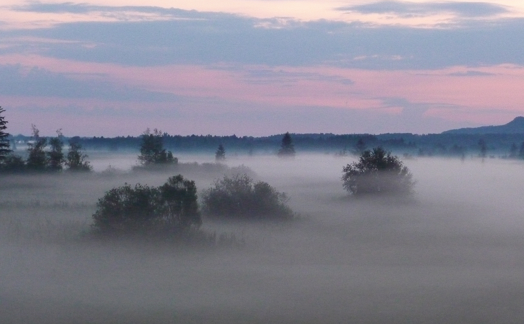 Morgennebel