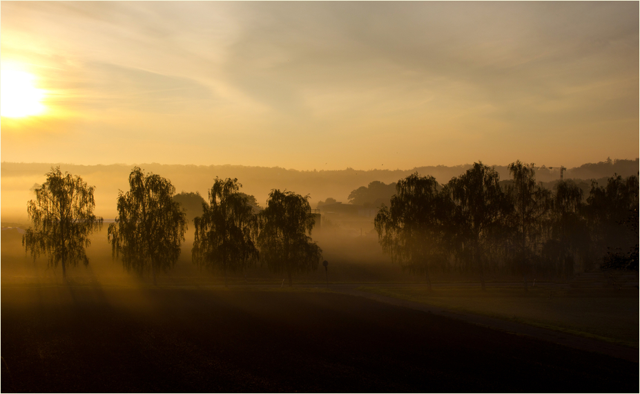 Morgennebel I