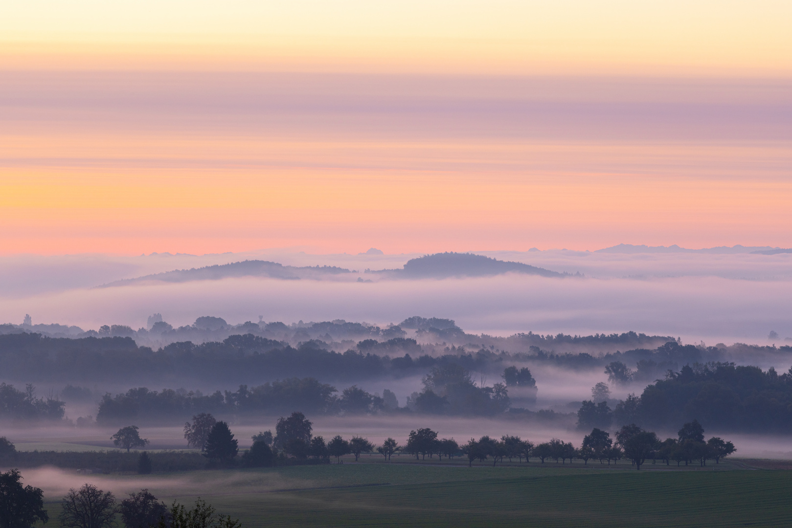 Morgennebel I