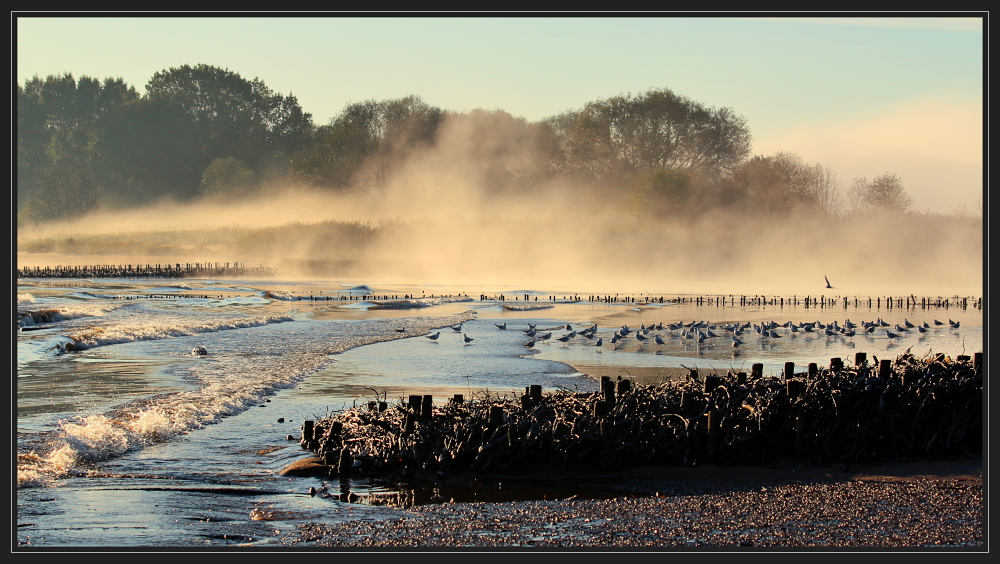 Morgennebel II