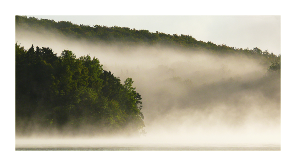 Morgennebel II