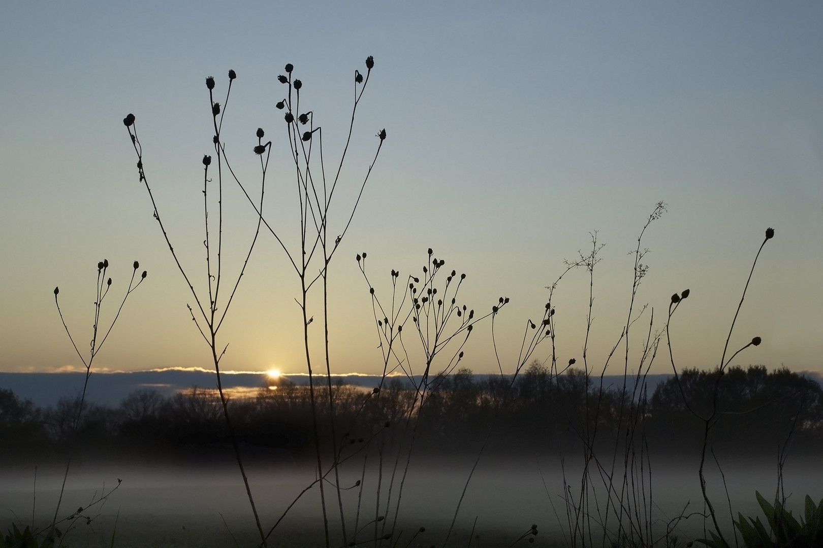 Morgennebel II