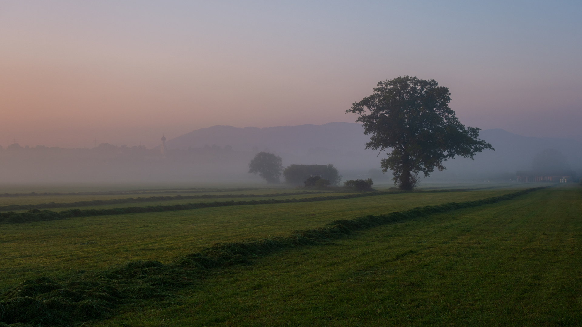 Morgennebel II