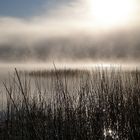 Morgennebel. Im Algonquin-Nationalpark, Kanada, Bild2