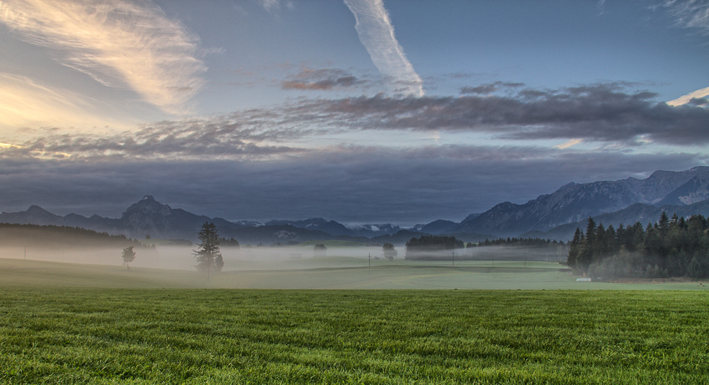 Morgennebel im Allgäu