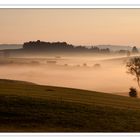 Morgennebel im Allgäu