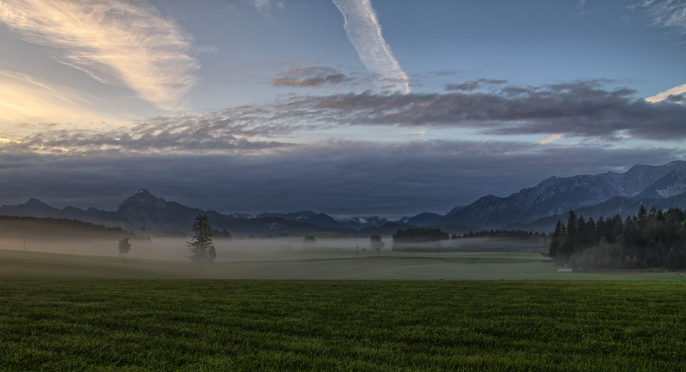 Morgennebel im Allgäu