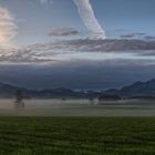 Morgennebel im Allgäu