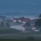 Morgennebel im Allgäu