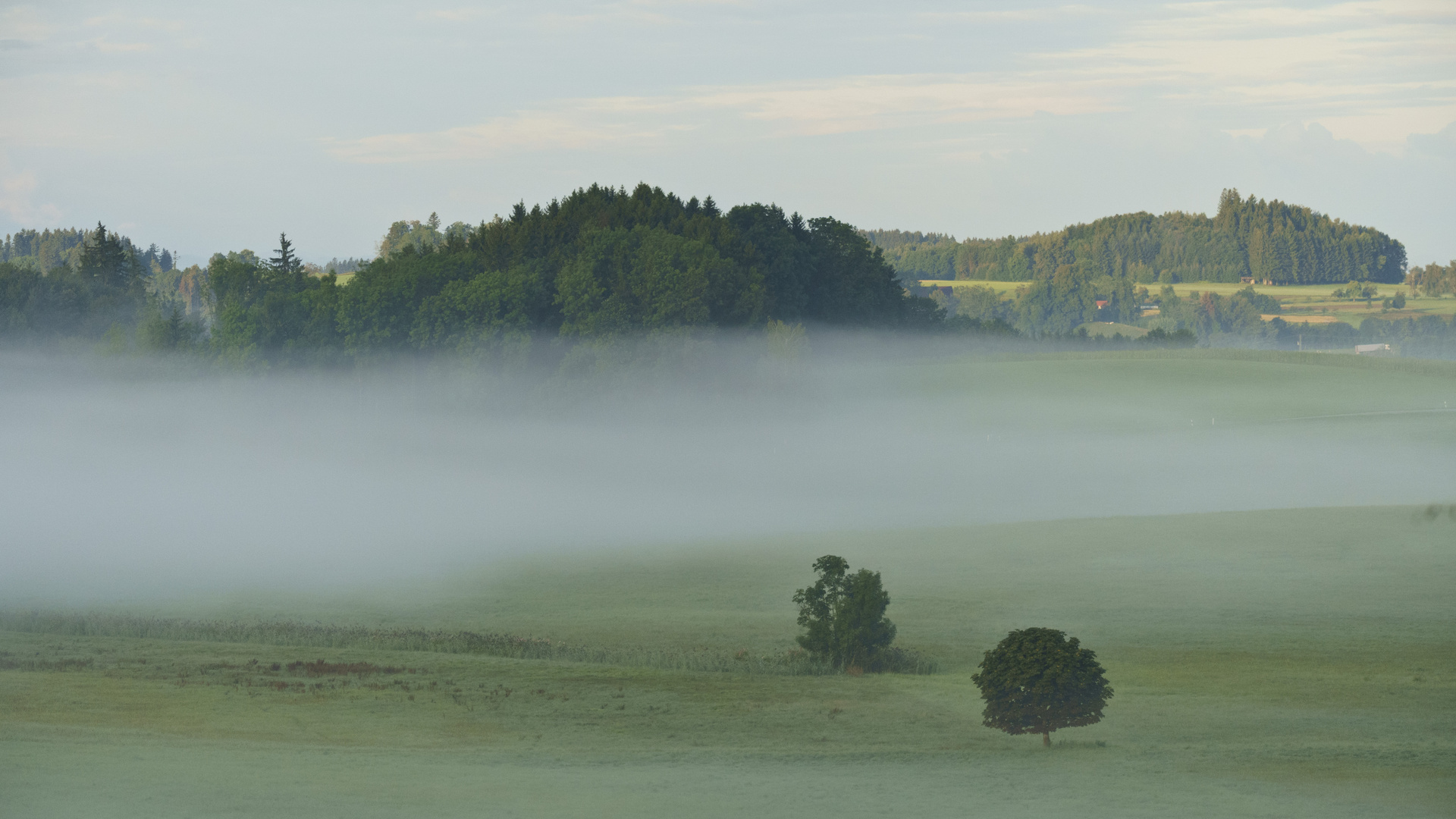 Morgennebel im Allgäu bei Amtzell 01 - 13.08.2019