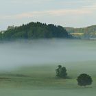 Morgennebel im Allgäu bei Amtzell 01 - 13.08.2019