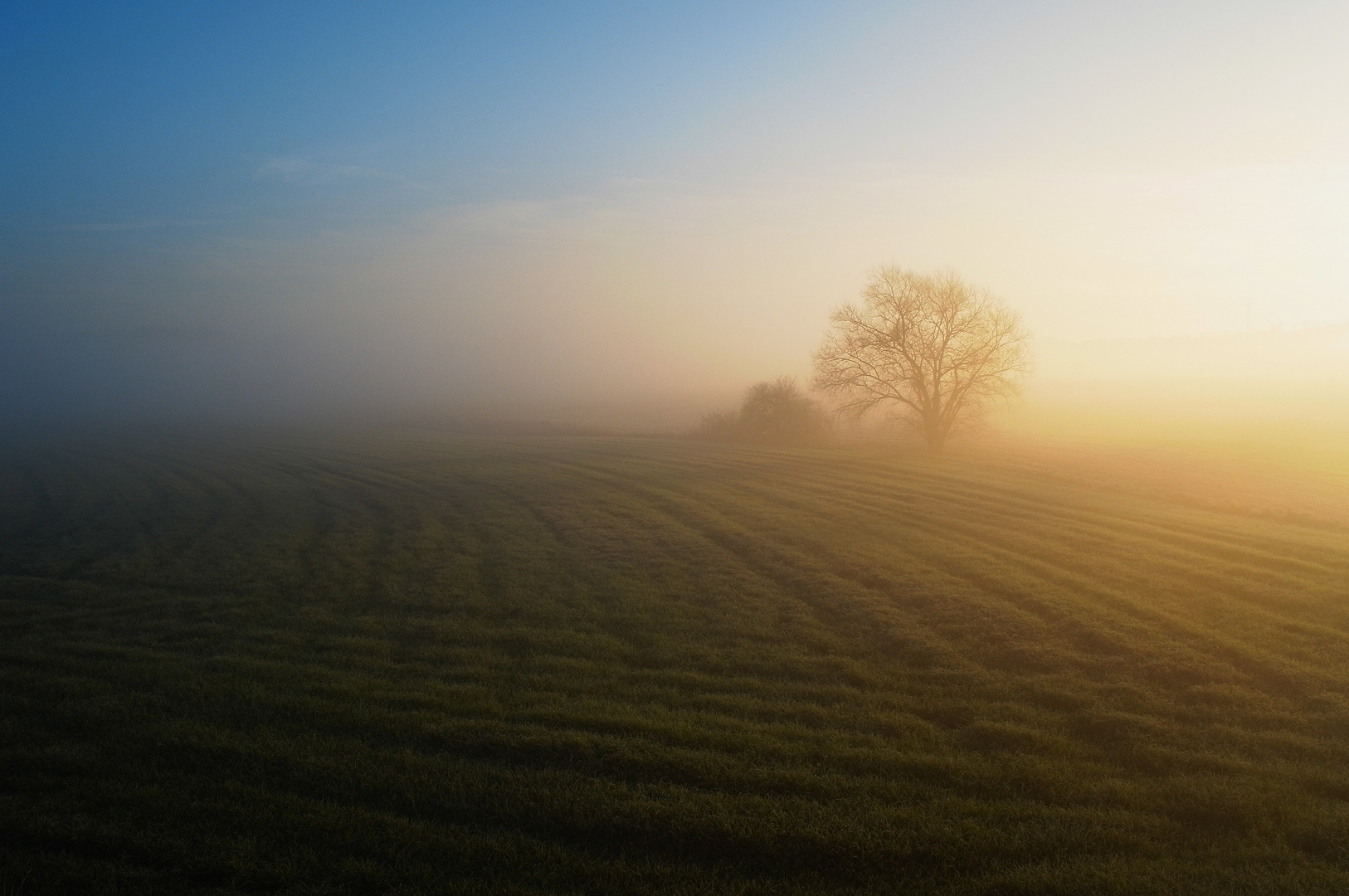 Morgennebel im "Auenland"