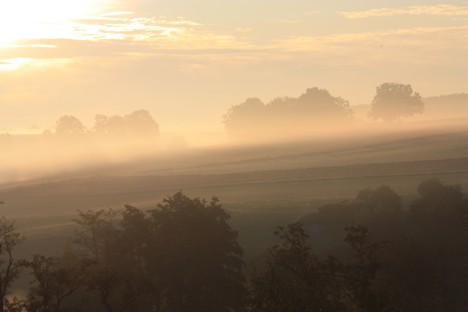 Morgennebel im Aurachtal