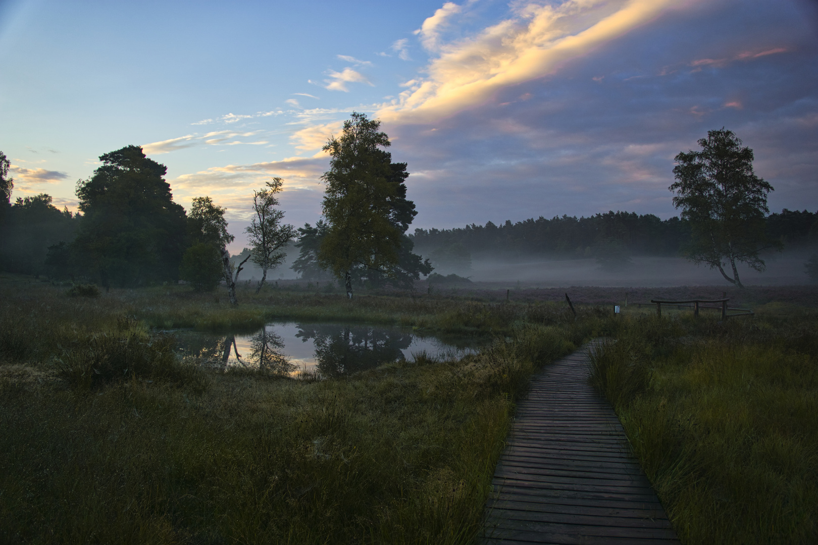 Morgennebel im Büsenbachtal