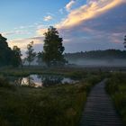 Morgennebel im Büsenbachtal