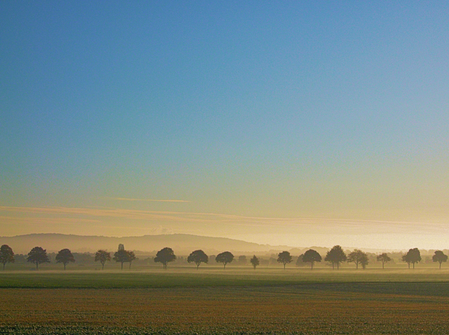 Morgennebel im Calenberger Land