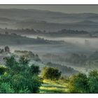 Morgennebel im Chianti