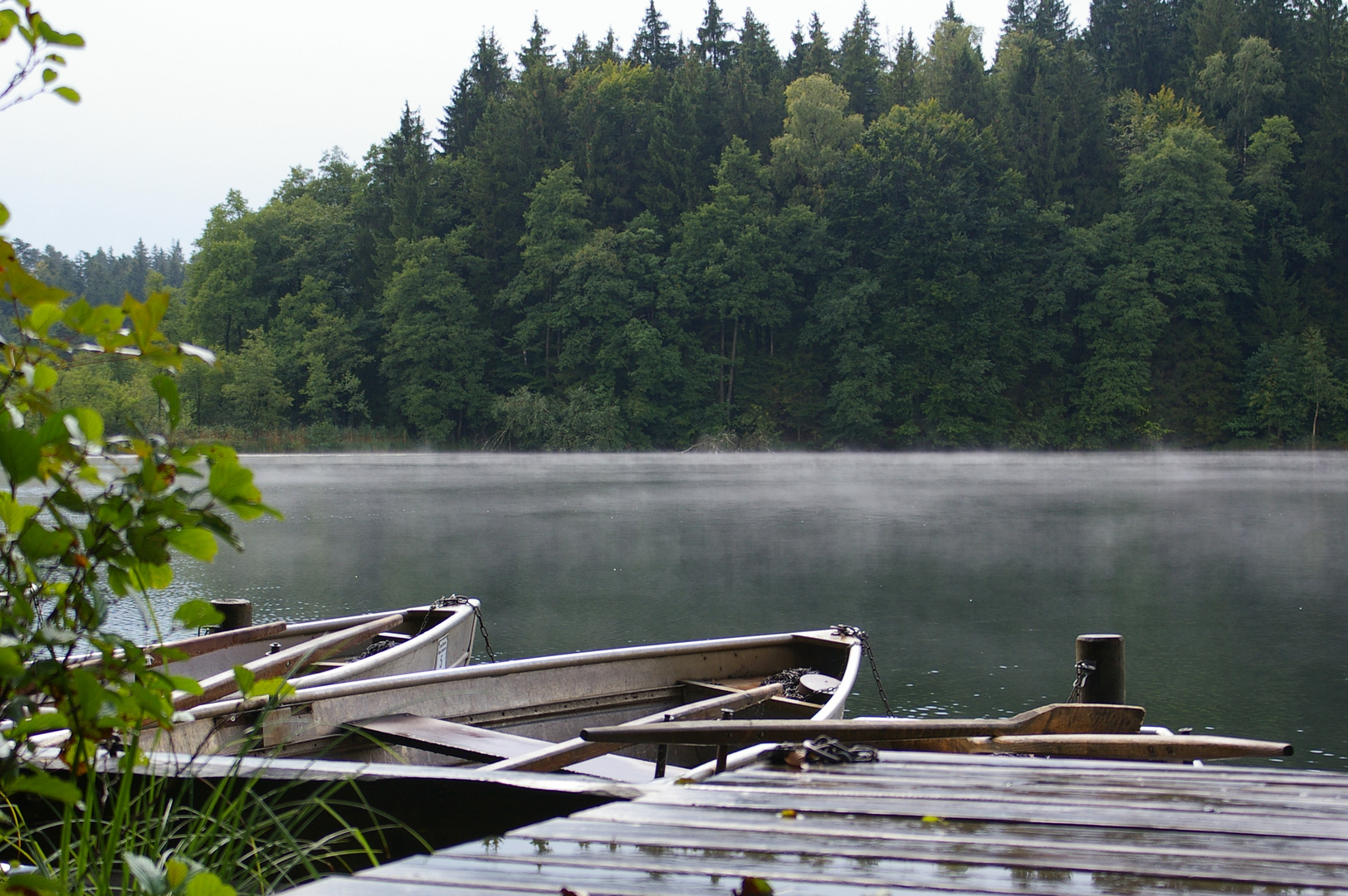 Morgennebel im Chiemgau