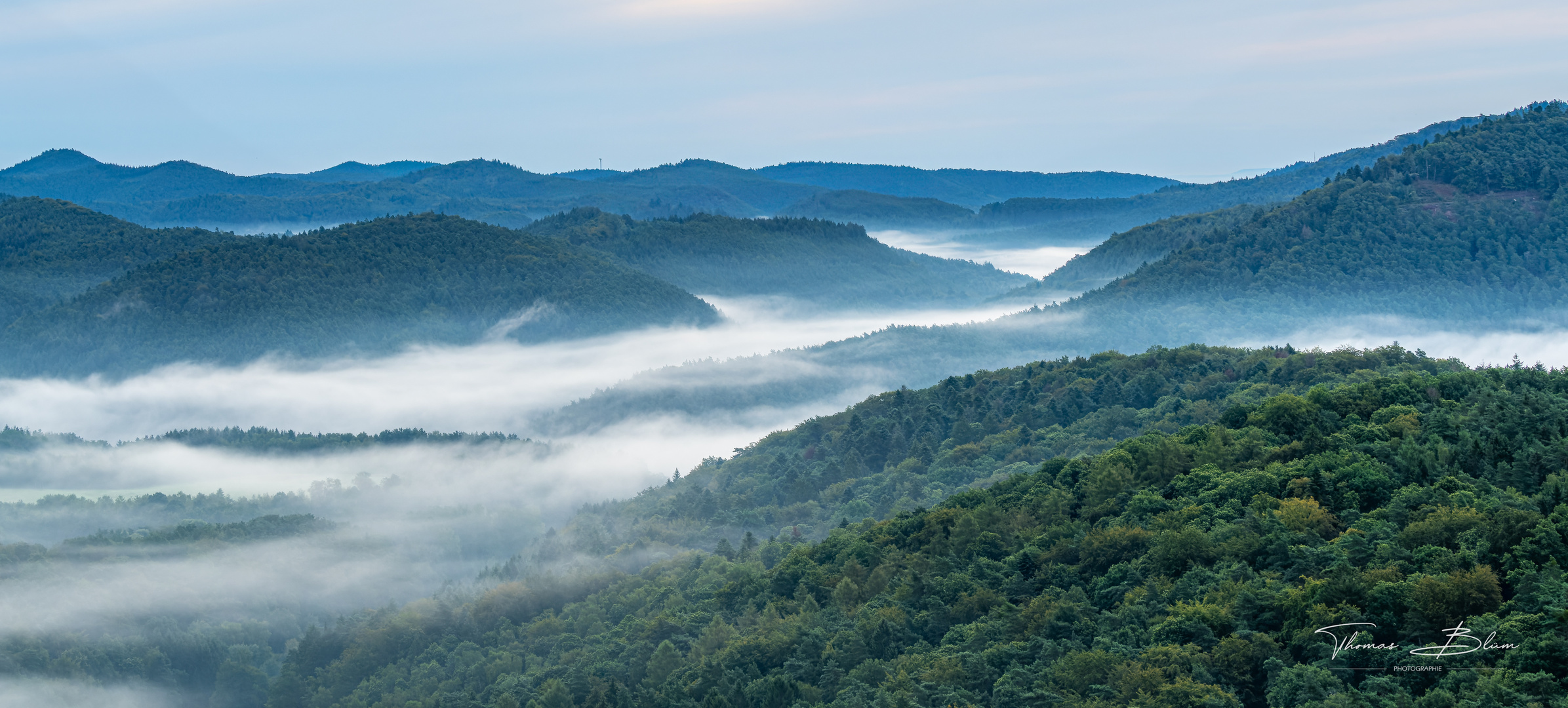 Morgennebel im Dahner Felsenland