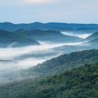 Morgennebel im Dahner Felsenland