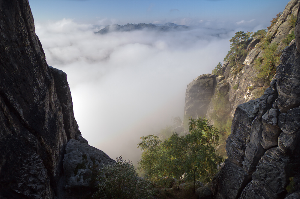 Morgennebel im Elbtal (3)