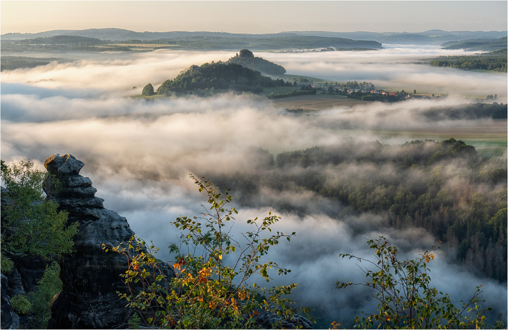 Morgennebel im Elbtal