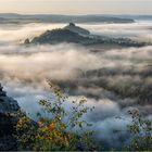 Morgennebel im Elbtal