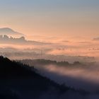 Morgennebel im Elbtal (7)