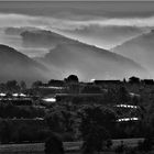 Morgennebel im Elstertal